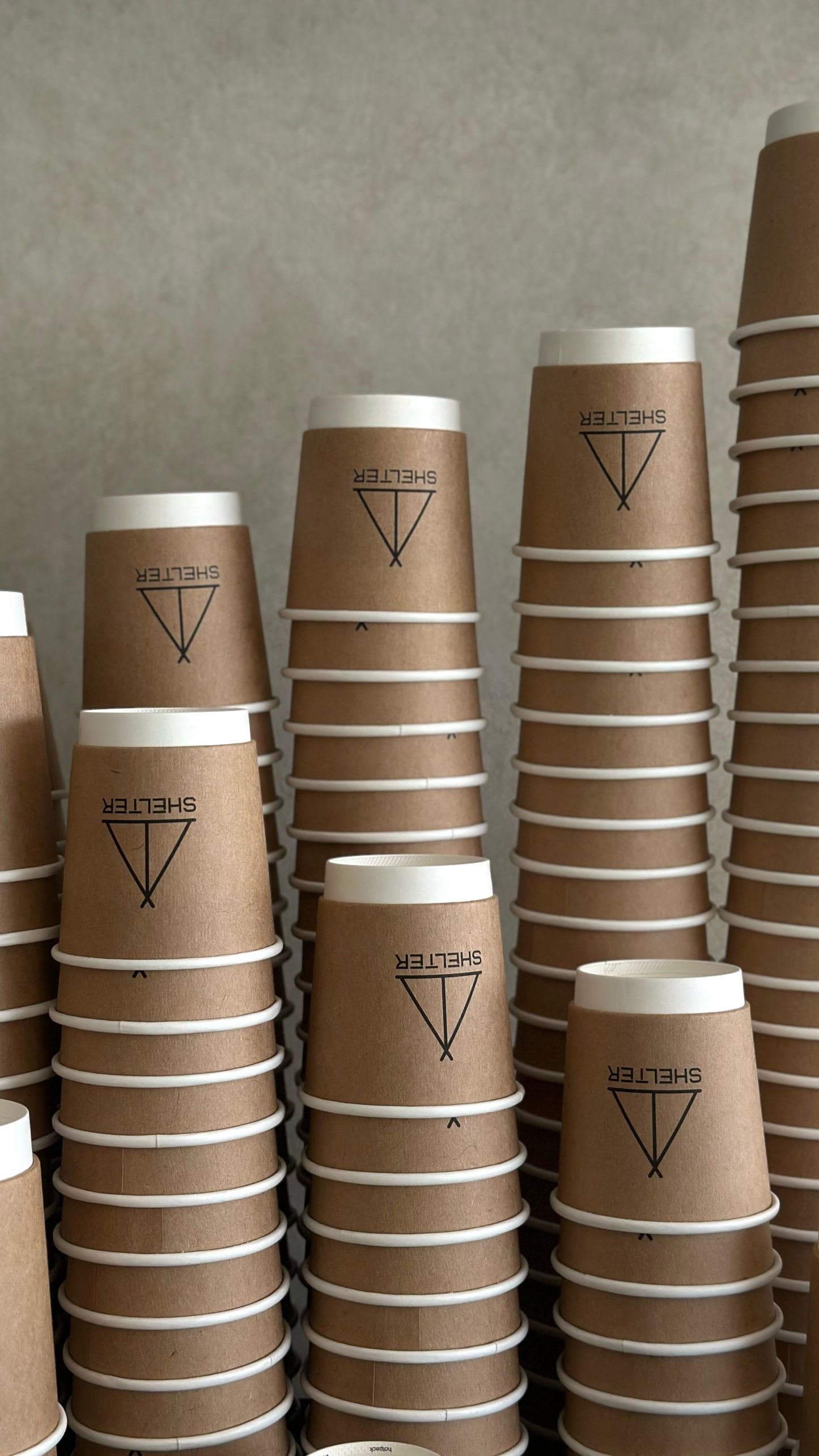 Double Paper cup 8oz